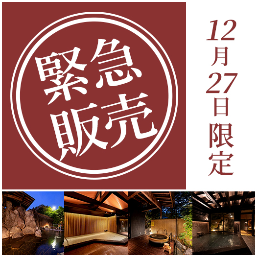 緊急販売 12月27日限定