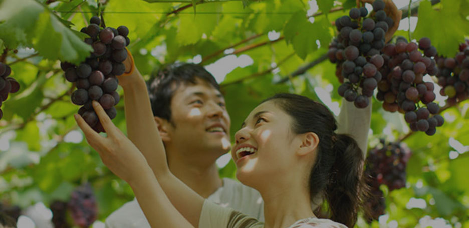 イメージ:周辺観光