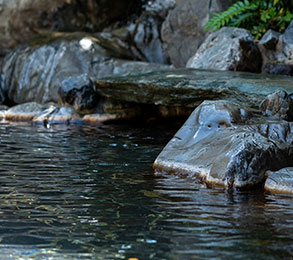 写真:皮脂を取り除き紫外線予防の湯